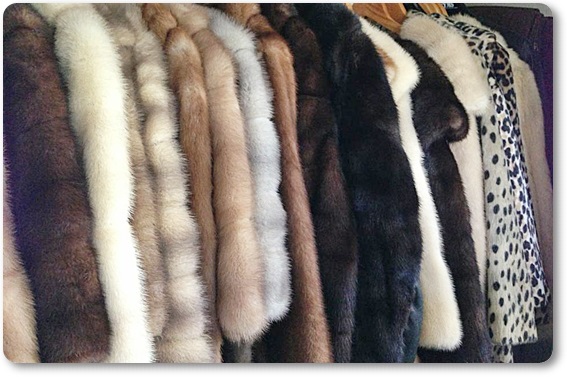 �є甃��E���m���ō��z����E��������Ȃ�R�R�������I